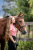 polpolo-flamingo-pink.webp